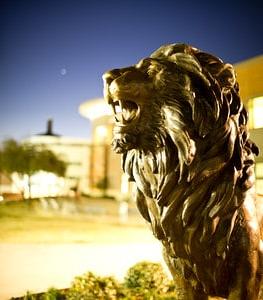 校园里的TAMUC狮子雕像.